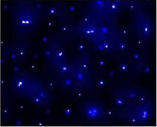Bang gravity of the more massive clumps of stars starts to attract more