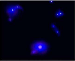 to see them Our picture of galaxy evolution After 2-4 billion years: larger irregular