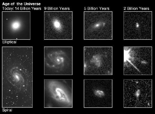 The elliptical and the spiral galaxies with old red stellar populations