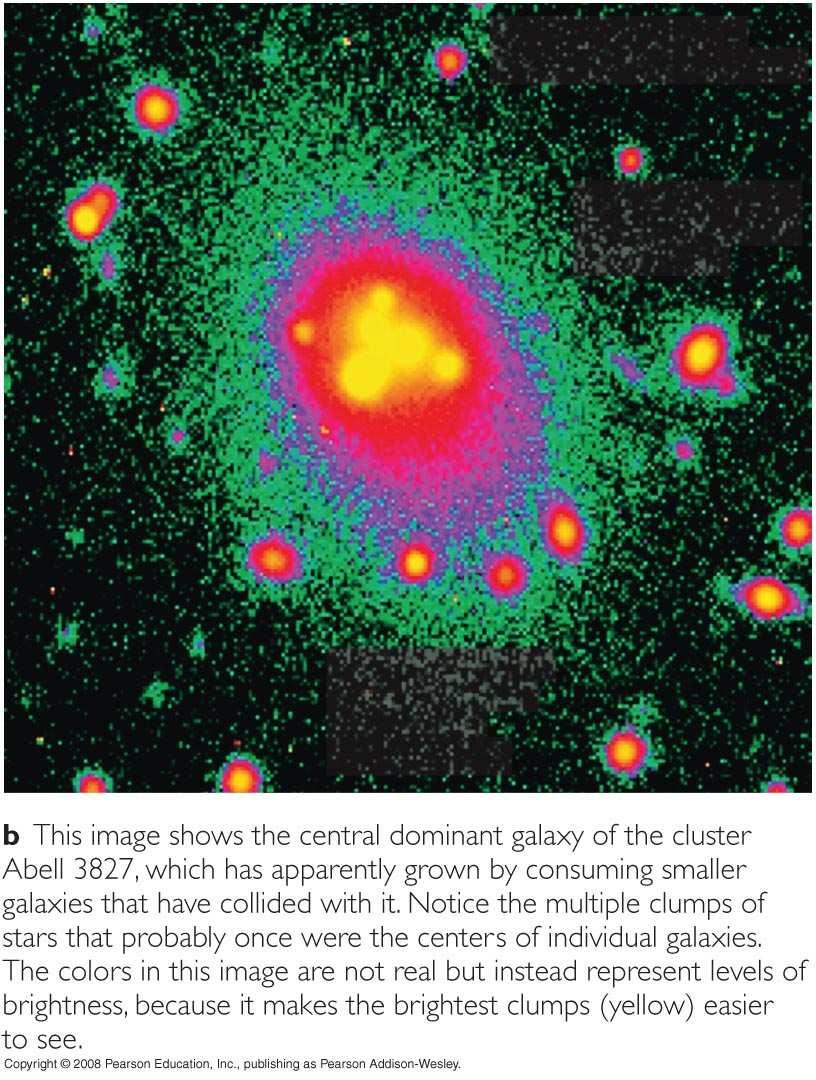 Collisions and Clusters Giant elliptical galaxies at the centers of clusters seem
