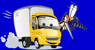 D) The truck accelerates but the mosquito does not. E) The mosquito accelerates but the truck does not.