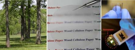 Transparent Paper from Wood Cellulose