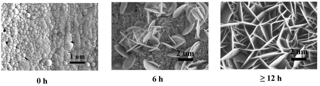 Fig. S14 SEM images of PL/Ni/NiNPAs (coating for 7 min) with different immersing time in 1 M phytic acid. Table S6.
