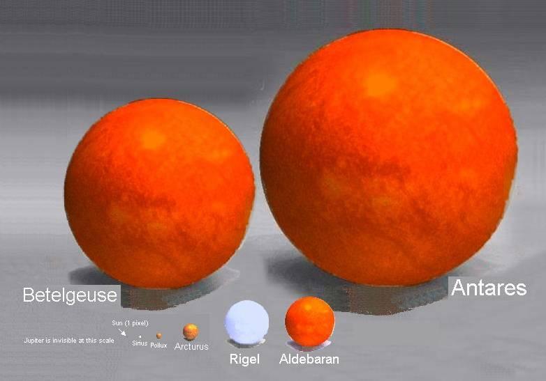 Relative sizes of some other stars Most stars are red dwarfs larger