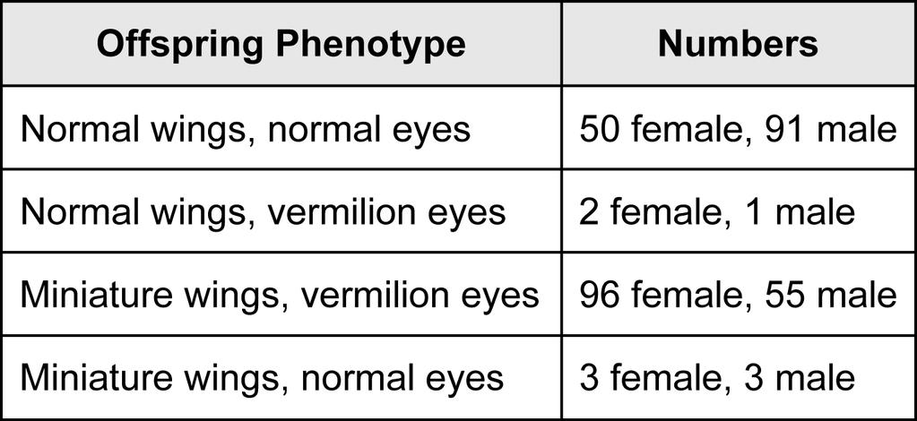 3. In fruit flies (Drosophila melanogaster), the allele for miniature wings (m) is recessive to the allele for normal wings (M), and the gene for vermilion eyes (v) is recessive to the allele for