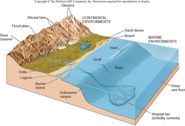 sorting are indicators of source rock type and relative location Depositional environment Location where sediment came to rest Sediment characteristics and sedimentary