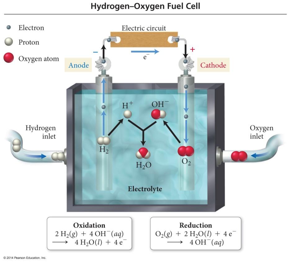 Fuel Cells Like batteries in which reactants are constantly being added So it never runs down!