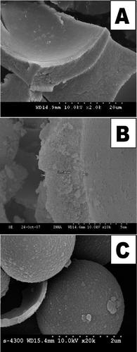 Figure 2: SEM images of the broken shell of mesoporous silica microspheres: at 2 µm thickness