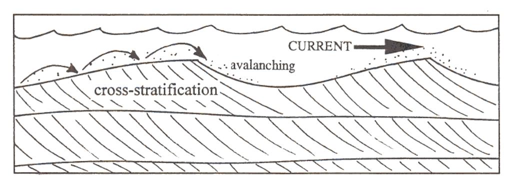 GY 112 Lecture Notes D. Haywick (2006) 5 C) Sedimentary rocks; keys to Earth history As I indicated previously, I am a sedimentologist which means that I study sedimentary rocks.