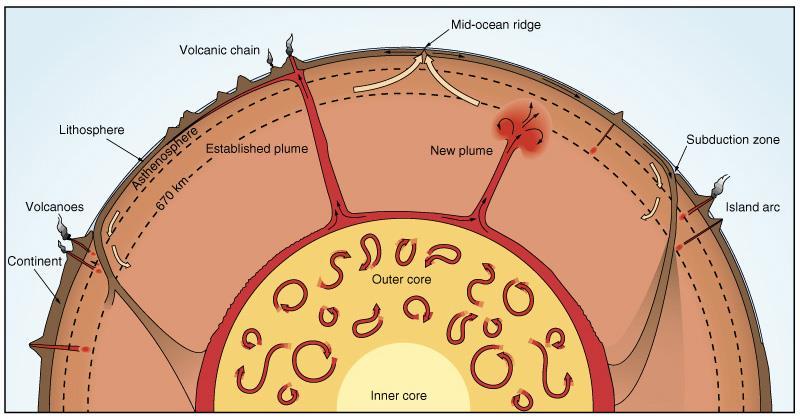 Convection cells in the mantle and