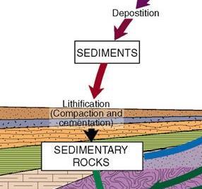 Step 6 Sediment goes through compaction and cementation Compaction sediment squeezed together Cementation sediment is