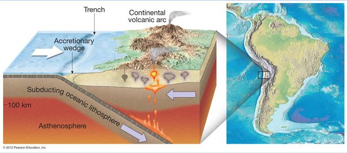 B. Active continental margins Continental slope descends abruptly into a deep-ocean trench Located primarily around the Pacific Ocean (What type of tectonic plate activity?