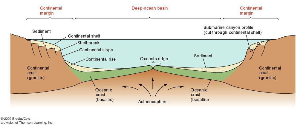 Continental margin = the submerged outer edge of a continent; really just an extension of the continental crust, which has an average composition of