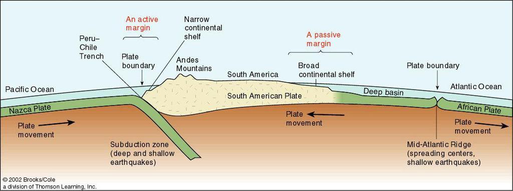 Types of continental margins Passive margins (= Atlantic-type margins) " They face the edges of diverging tectonic plates " Very little volcanic or earthquake activity Active
