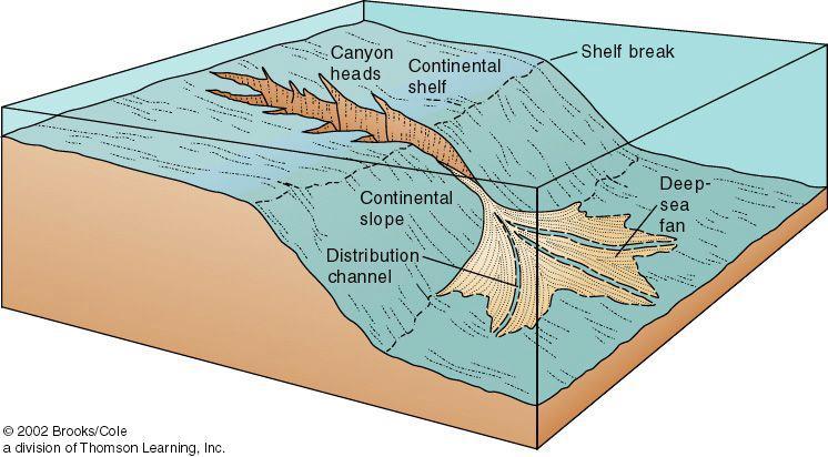 Submarine Canyons Underwater landslides or avalanches called turbidity currents commonly flow
