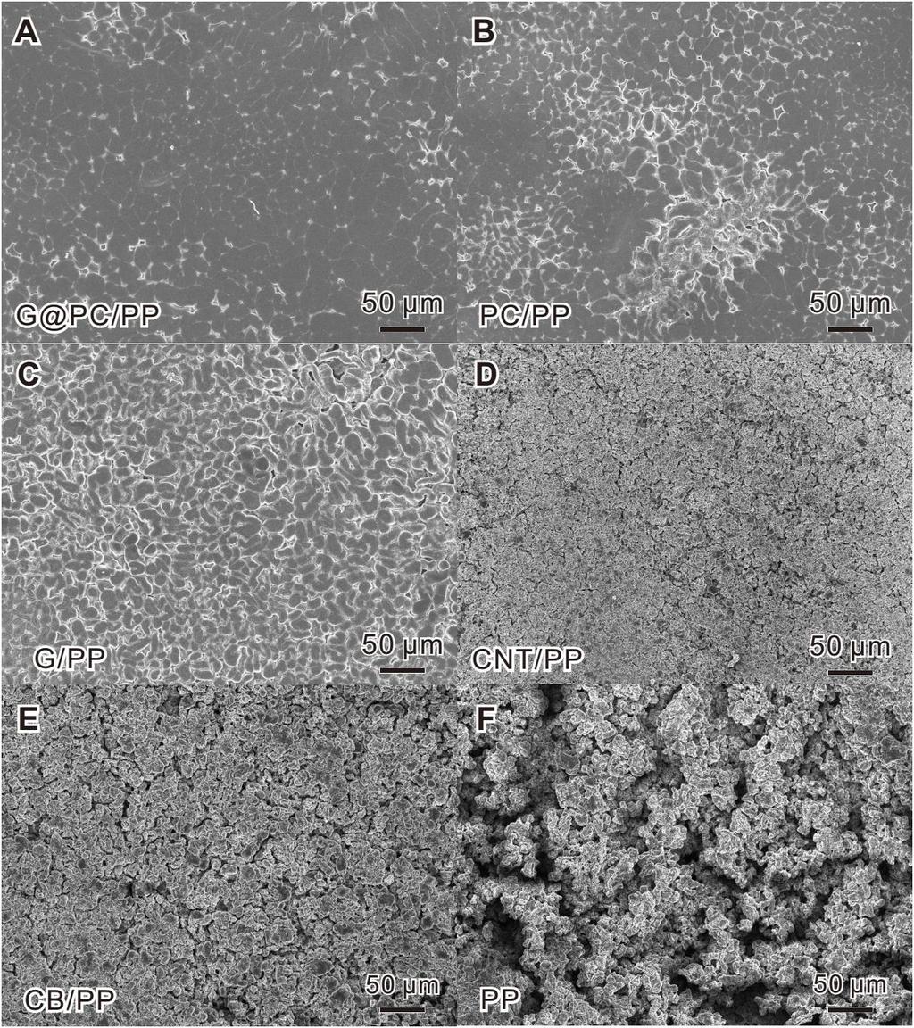 Figure S17. SEM images of the Li metal anodes after 100 cycles at 0.2 C.