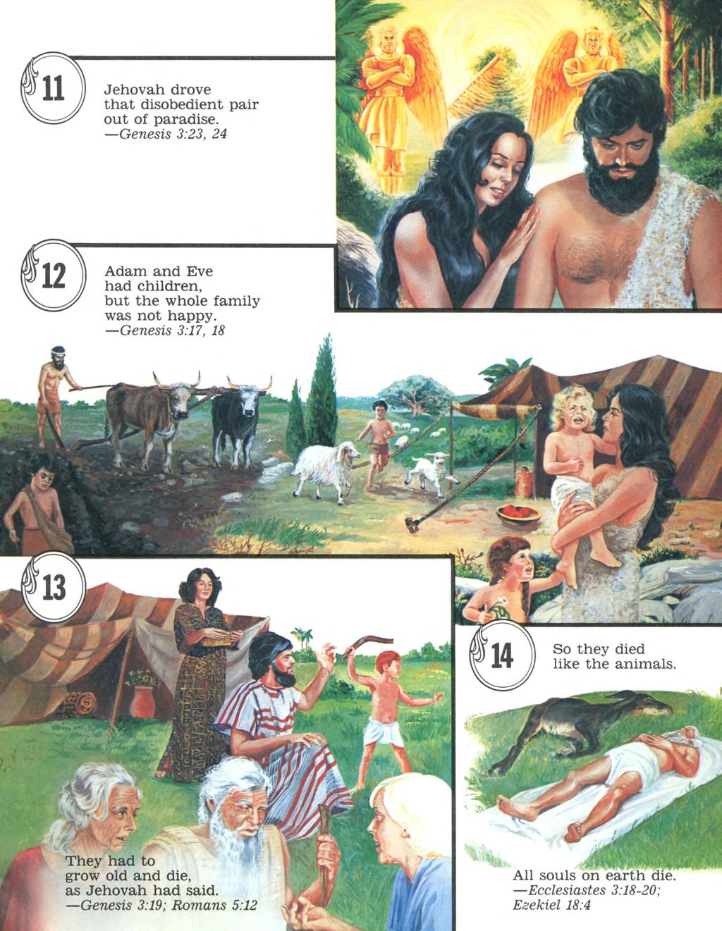 11 Jehovah drove th a t disobedient pair out of paradise. Genesis 3:23, 24 12 Adam and Eve had children, but the whole family was not happy.