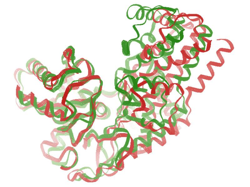 Hexokinase undergoes a conformational change upon binding to a