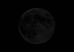 Topic 2: The Moon Earth s Satellite new moon when the moon is between Earth and
