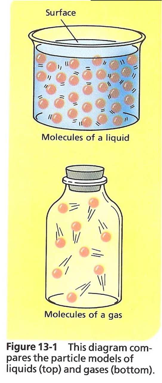 1) Of solids, liquids, and gases, the least common state of matter is the liquid state.