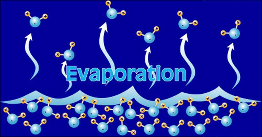 Evaporation: Is a surface phenomenon Particles escape from