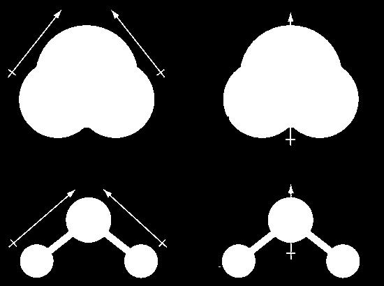 Polar bonds δ δ δ + δ + Molecule has net