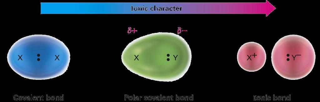 Electronegativity and Bond Polarity Electronegativity Ability of atom to attract shared electrons (in a covalent bond) Most electronegative atom = F