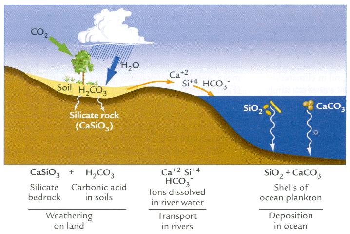 Chemical Weathering (from Earth s Climate: Past and Future) The precipitation process in the atmosphere dissolve and remove CO 2 from the atmosphere.