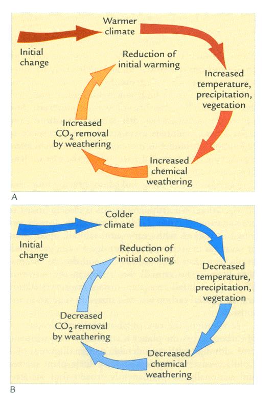 Negative Feedback From Chemical Weathering The chemical weathering works as a negative feedback that moderates long-term climate change.