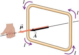 Force and torque on a current loop The net force on a current loop in a uniform magnetic field is zero.