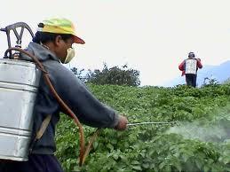 PESTICIDES: NATURAL SELECTION IN ACTION Pesticides are used to kill insects in crops and homes Insects evolve resistance to pesticides over time High doses and more
