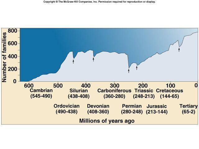 VI. Speciation and Extinction Through Time There have been 5 major mass extinctions interspersed within relatively consistent extinction patterns.