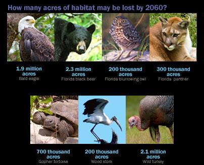 20 What are the greatest threats to Biodiversity? 1.