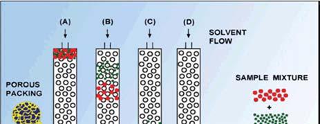 copolymer(pore size) 0.5~10 5 nm, (MW) 100~4x10 7 (diameter) 3~20μm 113 114 [η]m GPC : 2.