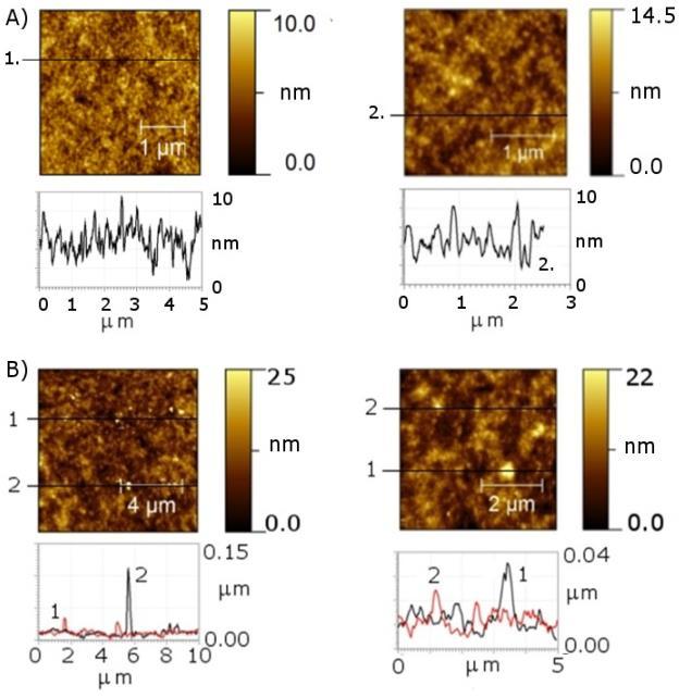 Light Harvesting: Combining Photovoltaics with Plasmonics Increasing Cell Efficiency