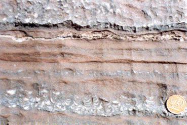 Cambrian rocks contain shallow marine limestones,