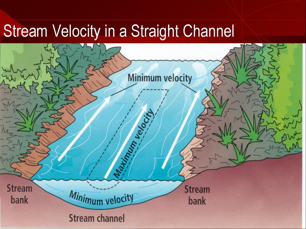 Water flows at different speeds within the same stream. WHY?