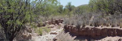 SPECIAL STREAM TYPES OF THE SOUTHWESTERN U.S. Washes and arroyos are commonly found in the Southwestern United States. Washes (Figure 8a) indicate intermittent or ephemeral streams (dry wash).