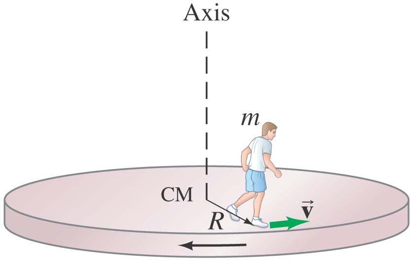 11-1 Angular Momentum Objects Rotating About a Fixed Axis Angular momentum is a vector; for a