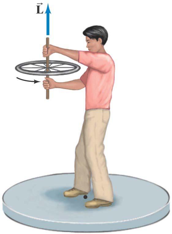 11-1 Angular Momentum Objects Rotating About a Fixed Axis Conceptual Example 11-5: Spinning bicycle wheel.
