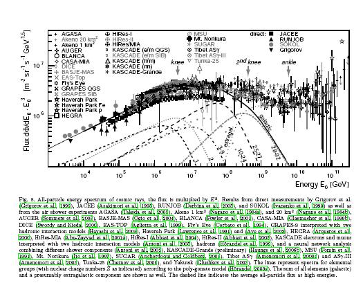 Bird's eye view of Spectra of Cosmic Rays Composition of