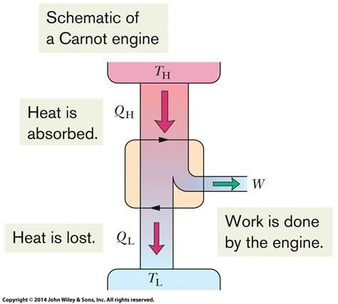 The efficiency of the Carnot engine depends only on the
