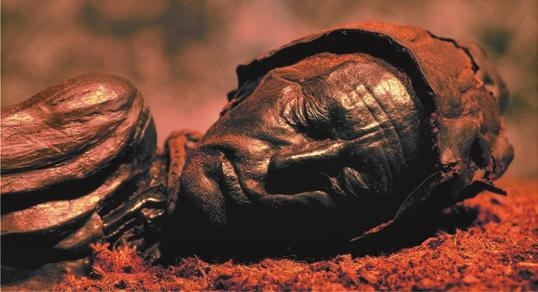 As a result, some peatlands have preserved corpses for thousands of years (Figure 29.10b).