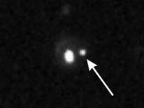 SUPERNOVA Light Curves Bright Candles in Sky to Measure Distance (Type II core collapse) (Type Ia -- WD) SUPERNOVAE in Other Galaxies Bright enough to be seen as sudden, bright