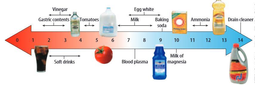 8. Name the acids used in food preservation. WS4 ph Scale 1. What is a ph scale? 2. Fill in the blanks. solutions such as water have a ph of 7. Acids have a ph less than.