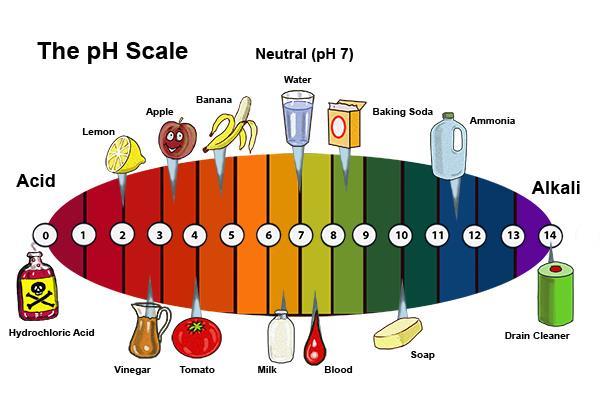 Overview It is a numerical scale from 0 to 14. The following figure shows different substances and their ph value. The lower the ph value, the more acidic the substance.