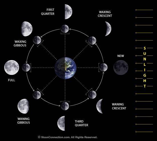Moon Phases*** What we see