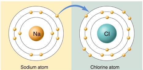 Ionic Bonds Formed by the