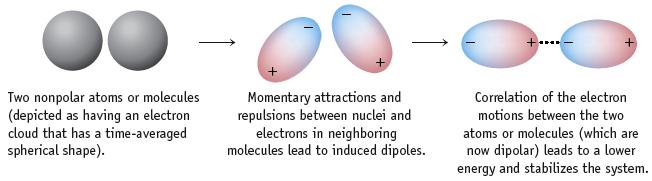 2 Intermolecular Forces Intermolecular Forces (IMF) Bonds Between Molecules o Inter- prefix = o Short range forces between in a sample.