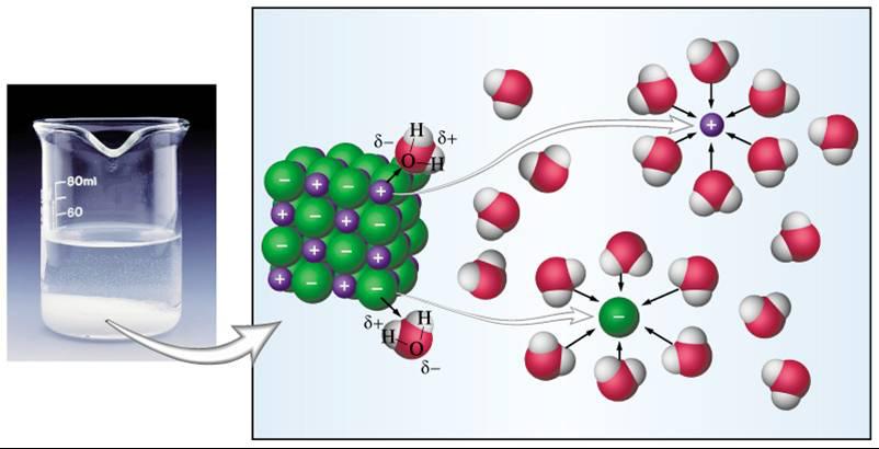 Ion Dipole Attractions - Not Intermolecular Between mixtures